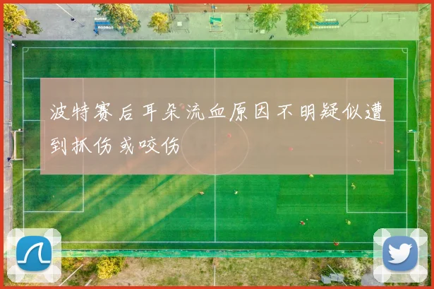 波特赛后耳朵流血原因不明疑似遭到抓伤或咬伤